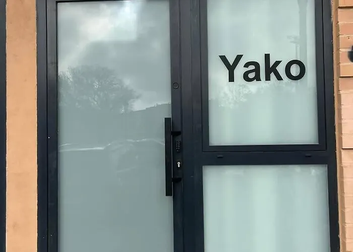 Vlc Yako Valencia